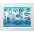 thumbnail image 1 of Allen, Candace 32x26 White Modern Wood Framed Museum Art Print Titled - Watercolor Coast Shells, 1 of 4