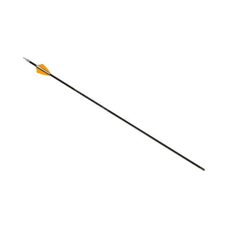 Allen Company 26" Fearless G2 Youth Target Fiberglass Arrow, Black