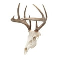 thumbnail image 1 of Allen Company Ez Mount Skull Peg Hook, Matte Black, Steel, Screw-In, Easy Installation, Interior Mount, 1 of 7