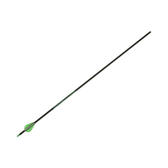 Allen Company Kryptos Carbon Arrow, 29" with 2" Profile Vanes, Black, Hunting Arrow
