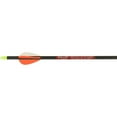 thumbnail image 1 of Allen Company Realtree 29" Plastic Archery Arrows, (Adult, Beginner), 1 of 2