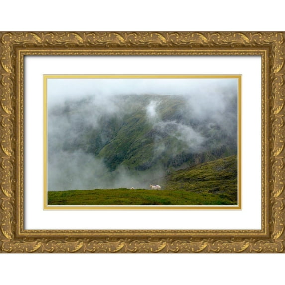Allen, Elizabeth 14x11 Gold Ornate Wood Framed with Double Matting Museum Art Print Titled - Sheep In The Clouds