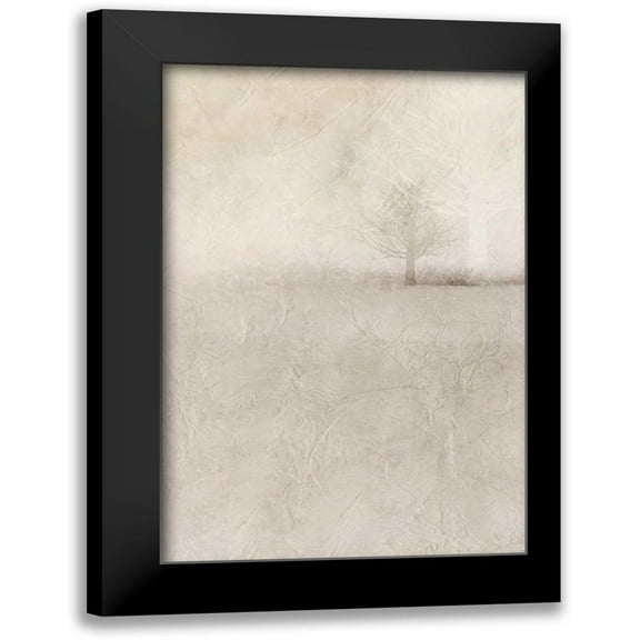 Allen, Kimberly 11x14 Black Modern Framed Museum Art Print Titled - Misty Dawn 2