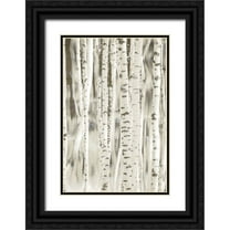 Allen, Kimberly 11x14 Black Ornate Wood Framed with Double Matting Museum Art Print Titled - Birches 3