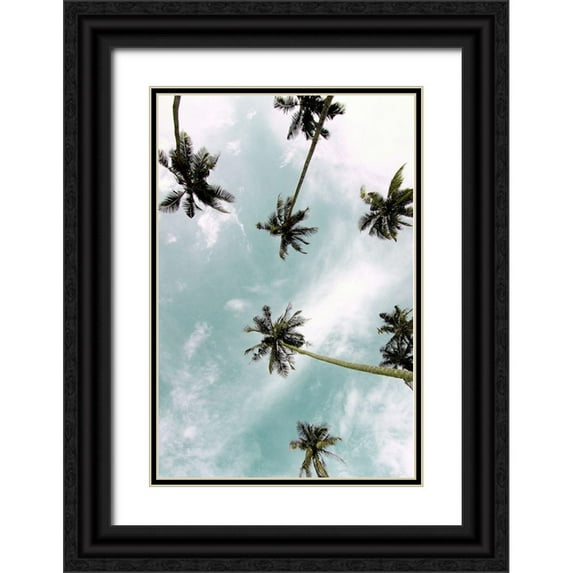 Allen, Kimberly 11x14 Black Ornate Wood Framed with Double Matting Museum Art Print Titled - Palm Sky