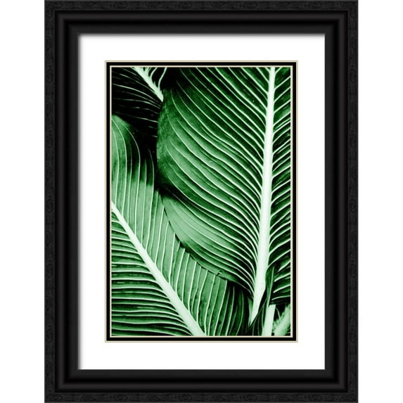 Allen, Kimberly 11x14 Black Ornate Wood Framed with Double Matting Museum Art Print Titled - Tropical 1