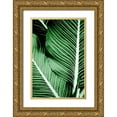 thumbnail image 1 of Allen, Kimberly 11x14 Gold Ornate Wood Framed with Double Matting Museum Art Print Titled - Tropical 1, 1 of 4