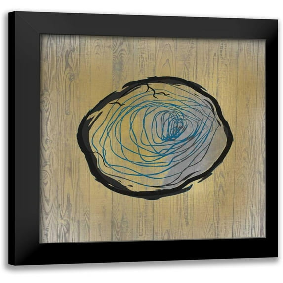 Allen, Kimberly 12x12 Black Modern Framed Museum Art Print Titled - Country Minerals 4
