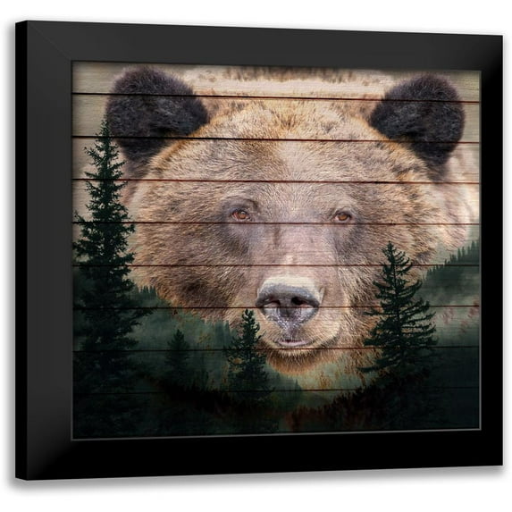 Allen, Kimberly 12x12 Black Modern Framed Museum Art Print Titled - Gaze