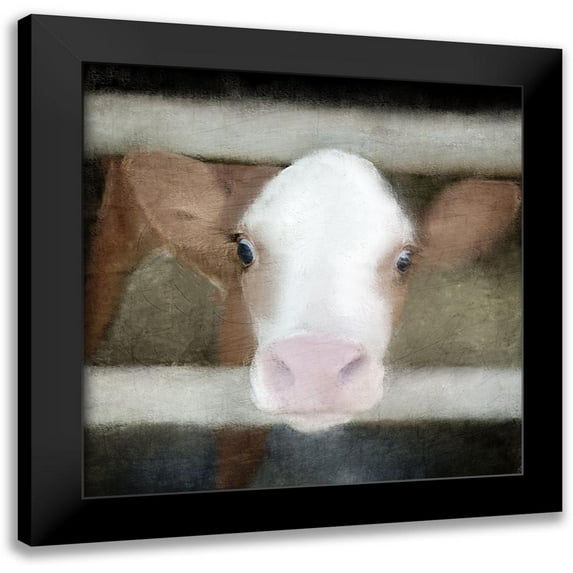 Allen, Kimberly 12x12 Black Modern Framed Museum Art Print Titled - Out of the Fence