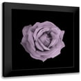 thumbnail image 1 of Allen, Kimberly 12x12 Black Modern Framed Museum Art Print Titled - Perfume Roses 3, 1 of 5