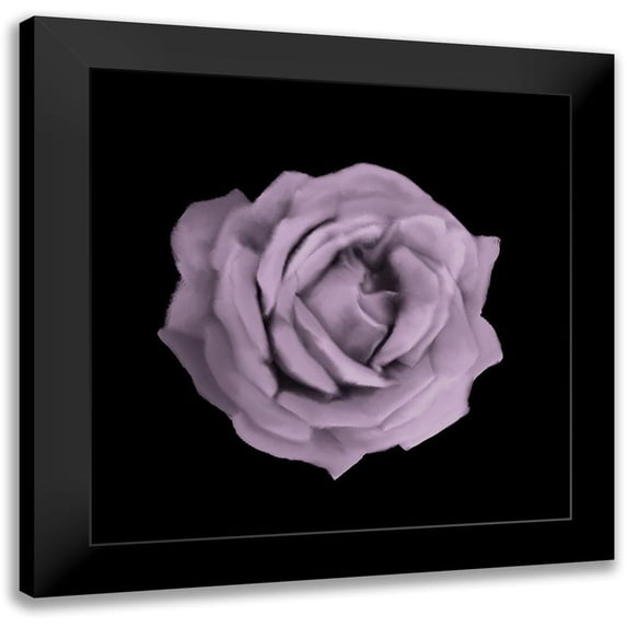 Allen, Kimberly 12x12 Black Modern Framed Museum Art Print Titled - Perfume Roses 3