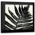thumbnail image 1 of Allen, Kimberly 12x12 Black Modern Framed Museum Art Print Titled - Pressed Fern 1, 1 of 5