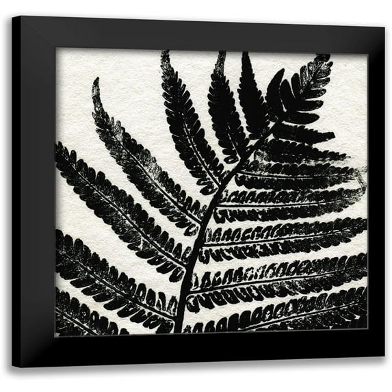 Allen, Kimberly 12x12 Black Modern Framed Museum Art Print Titled - Pressed Fern 1