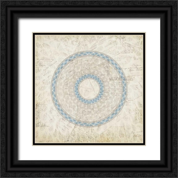 Allen, Kimberly 12x12 Black Ornate Wood Framed with Double Matting Museum Art Print Titled - Flourish 3