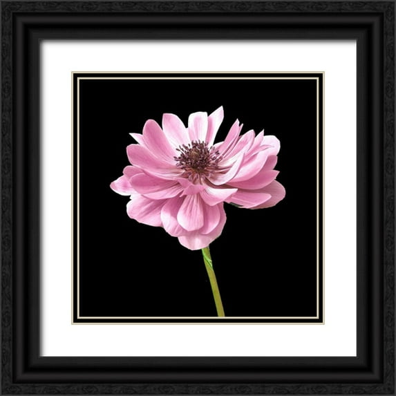 Allen, Kimberly 12x12 Black Ornate Wood Framed with Double Matting Museum Art Print Titled - He Heals Blossoms 2