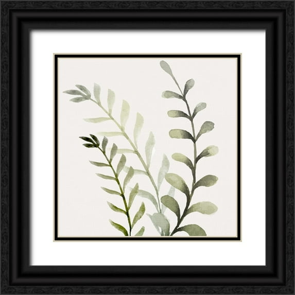 Allen, Kimberly 12x12 Black Ornate Wood Framed with Double Matting Museum Art Print Titled - Watercolor Sage 1