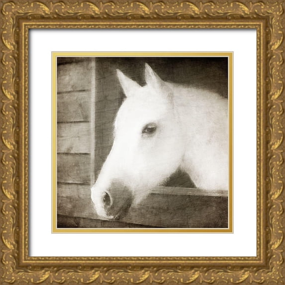 Allen, Kimberly 12x12 Gold Ornate Wood Framed with Double Matting Museum Art Print Titled - Glory