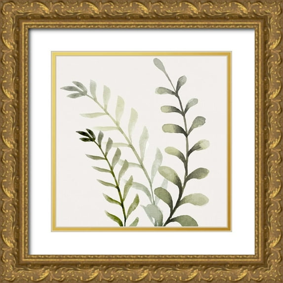 Allen, Kimberly 12x12 Gold Ornate Wood Framed with Double Matting Museum Art Print Titled - Watercolor Sage 1