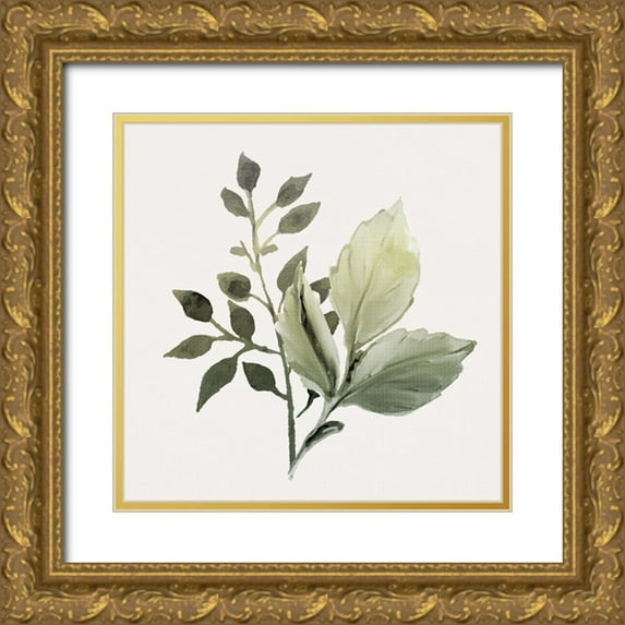 Allen, Kimberly 12x12 Gold Ornate Wood Framed with Double Matting Museum Art Print Titled - Watercolor Sage 2