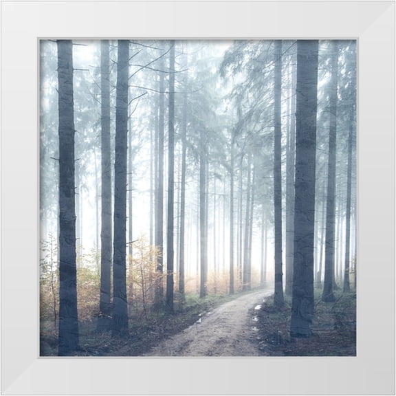 Allen, Kimberly 12x12 White Modern Wood Framed Museum Art Print Titled - Forest Road
