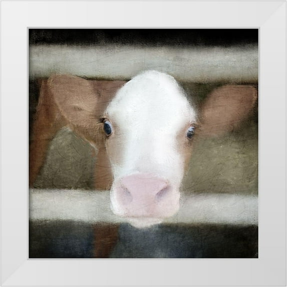Allen, Kimberly 12x12 White Modern Wood Framed Museum Art Print Titled - Out of the Fence