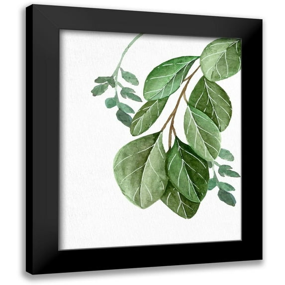 Allen, Kimberly 12x14 Black Modern Framed Museum Art Print Titled - Greens 1