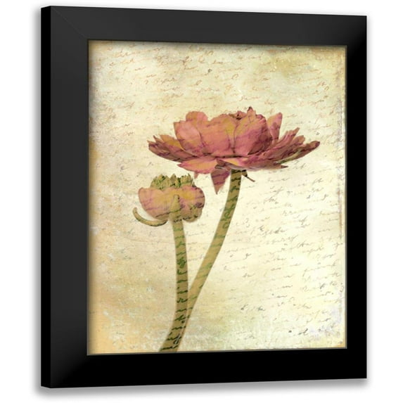 Allen, Kimberly 12x14 Black Modern Framed Museum Art Print Titled - Ranunculus Bloom 1