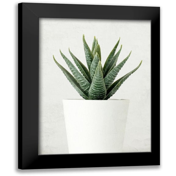 Allen, Kimberly 12x14 Black Modern Framed Museum Art Print Titled - Succulent Photo 2