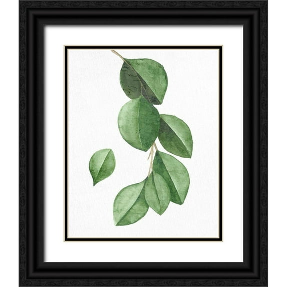 Allen, Kimberly 12x14 Black Ornate Wood Framed with Double Matting Museum Art Print Titled - Greens 3