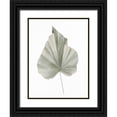 thumbnail image 1 of Allen, Kimberly 12x14 Black Ornate Wood Framed with Double Matting Museum Art Print Titled - Soft Green 1, 1 of 4