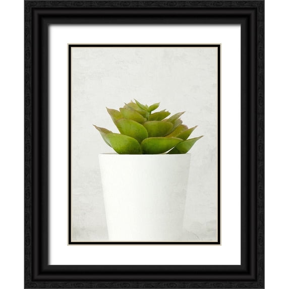 Allen, Kimberly 12x14 Black Ornate Wood Framed with Double Matting Museum Art Print Titled - Succulent Photo 3