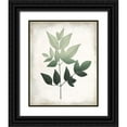 thumbnail image 1 of Allen, Kimberly 12x14 Black Ornate Wood Framed with Double Matting Museum Art Print Titled - Vintage Botanical Greens 2, 1 of 4