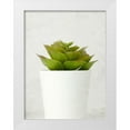thumbnail image 1 of Allen, Kimberly 12x14 White Modern Wood Framed Museum Art Print Titled - Succulent Photo 3, 1 of 4