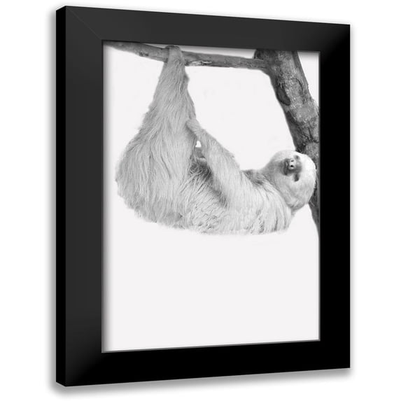 Allen, Kimberly 13x18 Black Modern Framed Museum Art Print Titled - Quirky Sloths 1