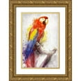 thumbnail image 1 of Allen, Kimberly 13x18 Gold Ornate Wood Framed with Double Matting Museum Art Print Titled - MaCaw, 1 of 4