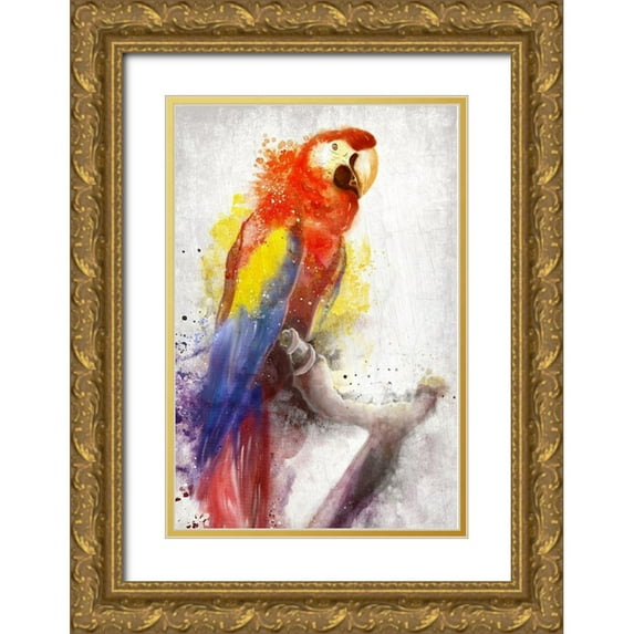 Allen, Kimberly 13x18 Gold Ornate Wood Framed with Double Matting Museum Art Print Titled - MaCaw