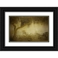thumbnail image 1 of Allen, Kimberly 14x10 Black Ornate Wood Framed with Double Matting Museum Art Print Titled - Olive Tree, 1 of 4