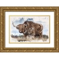 thumbnail image 1 of Allen, Kimberly 14x11 Gold Ornate Wood Framed with Double Matting Museum Art Print Titled - Long Horn, 1 of 4