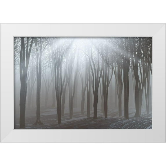 Allen, Kimberly 14x11 White Modern Wood Framed Museum Art Print Titled - Sunlight
