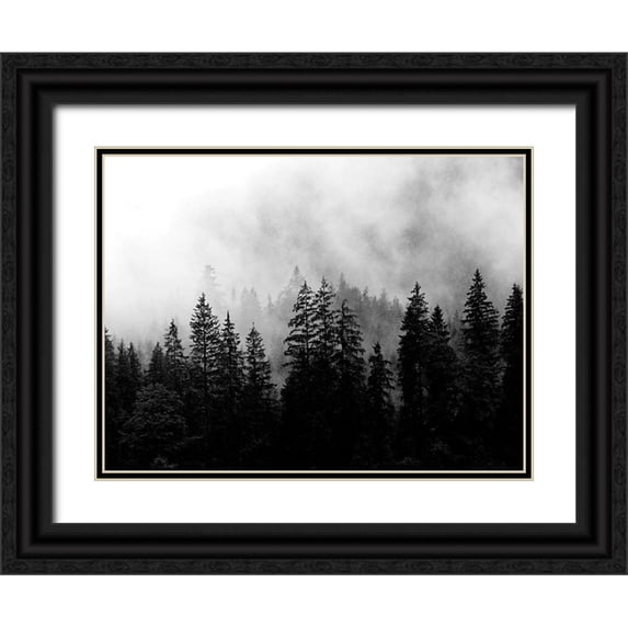 Allen, Kimberly 14x12 Black Ornate Wood Framed with Double Matting Museum Art Print Titled - Foggy Morning