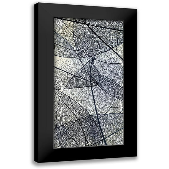 Allen, Kimberly 14x24 Black Modern Framed Museum Art Print Titled - Transparent 3 V5
