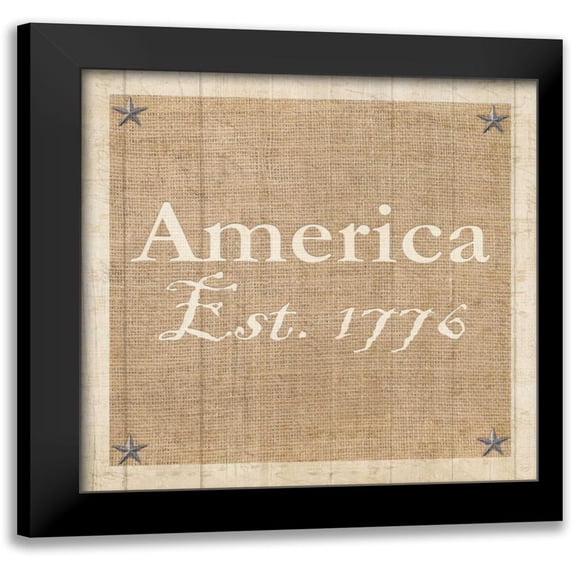 Allen, Kimberly 15x15 Black Modern Framed Museum Art Print Titled - Americana 3