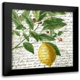 thumbnail image 1 of Allen, Kimberly 15x15 Black Modern Framed Museum Art Print Titled - Fruit Picking 4, 1 of 5