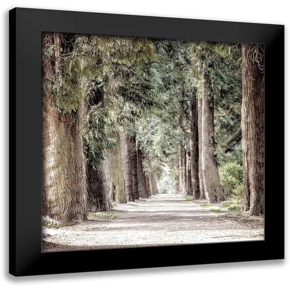 Allen, Kimberly 15x15 Black Modern Framed Museum Art Print Titled - Path