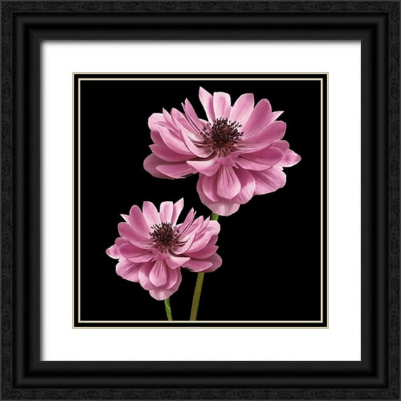 Allen, Kimberly 15x15 Black Ornate Wood Framed with Double Matting Museum Art Print Titled - Pink Paris 3