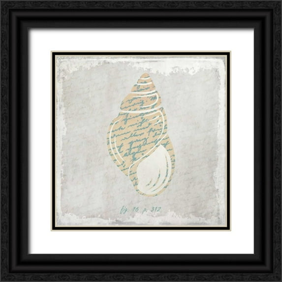 Allen, Kimberly 15x15 Black Ornate Wood Framed with Double Matting Museum Art Print Titled - Stone Shell 4