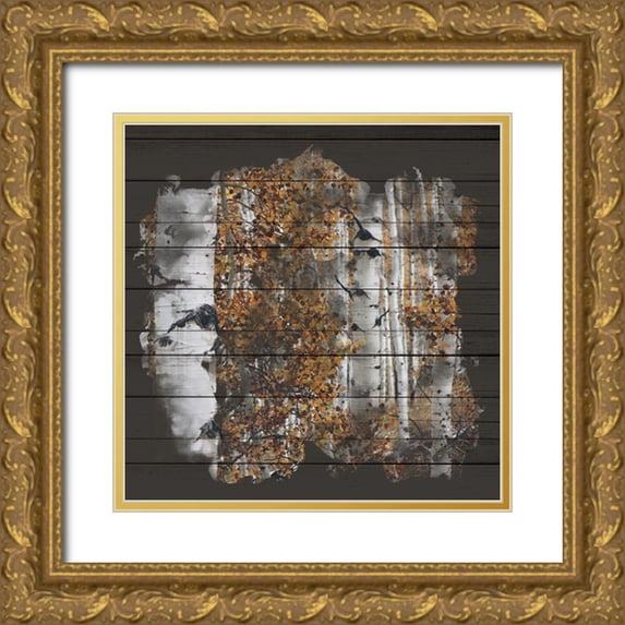 Allen, Kimberly 15x15 Gold Ornate Wood Framed with Double Matting Museum Art Print Titled - Aspen Wood 2