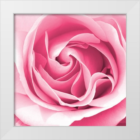 Allen, Kimberly 15x15 White Modern Wood Framed Museum Art Print Titled - In Paris Hearts 2
