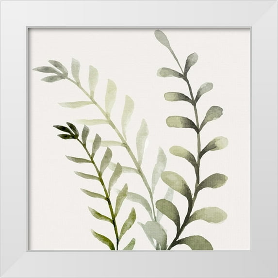 Allen, Kimberly 15x15 White Modern Wood Framed Museum Art Print Titled - Watercolor Sage 1